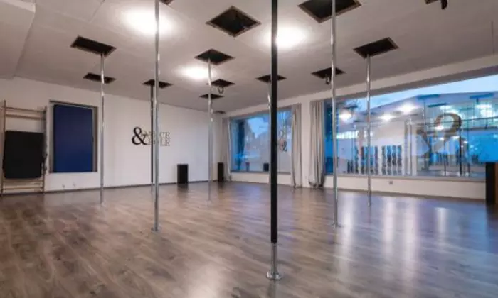 1 oder 3 Pole-Dance-Probestunden für 1 oder 2 Personen