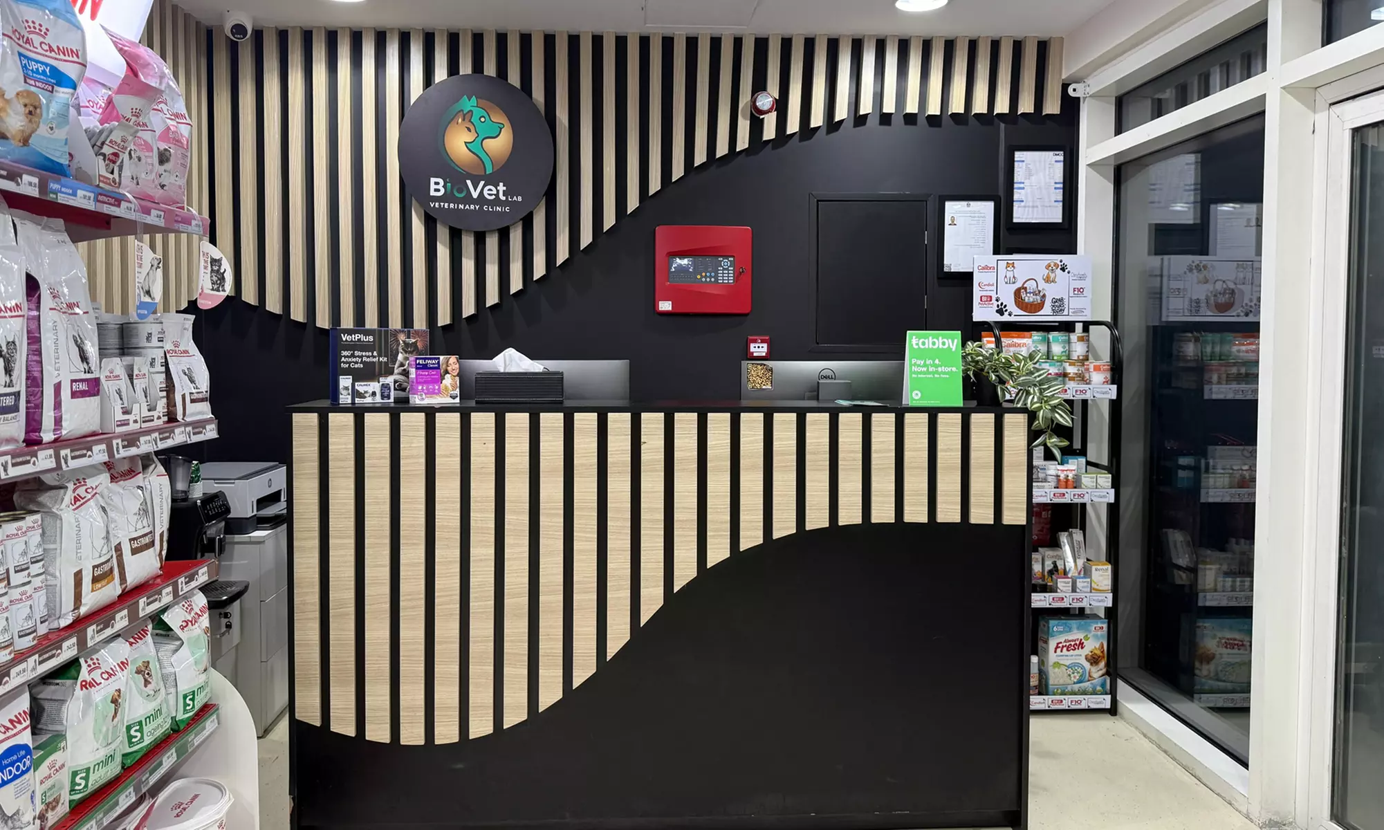 Check-Up, Vaccination, Deworming or Grooming for Cats & Dogs