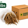 Image 19: Graduation Flower Bulb Collections
