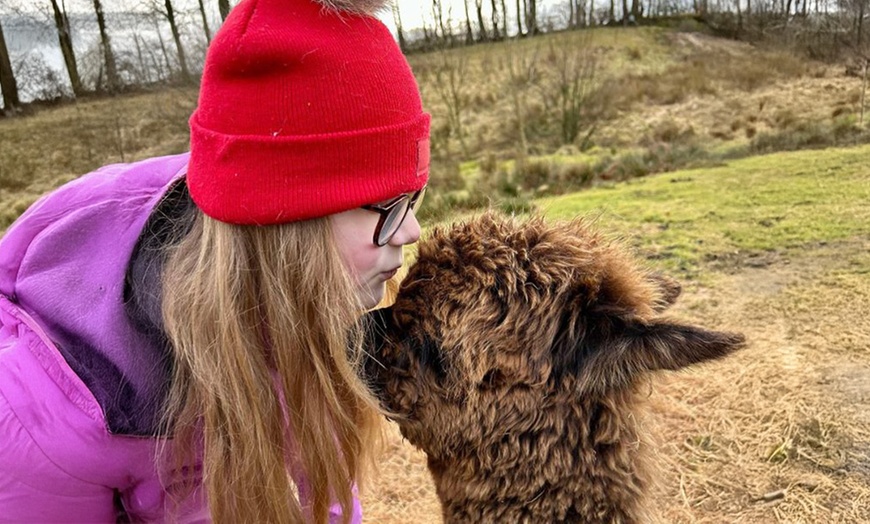 Image 2: Kids or Adult Ticket to 60-Minute Alpaca Meet & Greet Experience