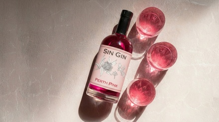 One adult: 45-minute Distillery Tasting Experience with a Gin and Tonic Drink - Sin Gin Distillery