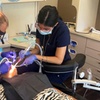 Image 4: One or Two Sessions of Dental Care Package: Exam, Cleaning, and X-Rays