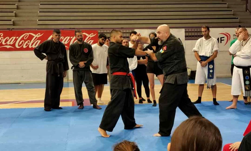 Image 2: Bono de 1 o 2 meses de clases de artes marciales para niños o adultos