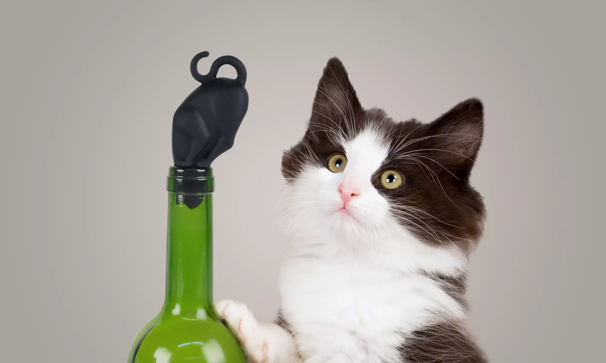 Funny Wine Stoppers (1- or 2-Pack) - Primary Image