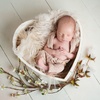 Image 4: Treasure Tiny Details: Newborn Studio Photoshoot with Prints