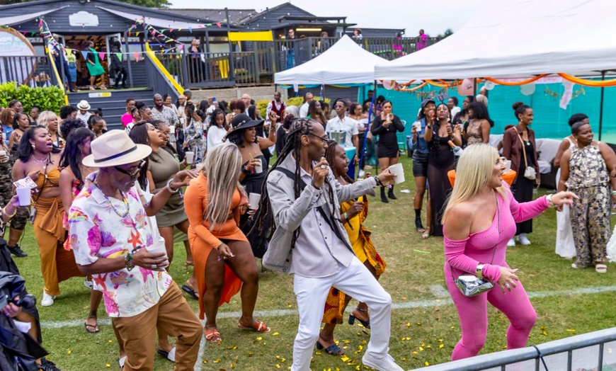 Image 2: General Admission for One, VIP Admission for Four adults, and More