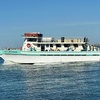 Image 7: Up to 40% Off Family-Friendly 4-Hour Fishing Trips
