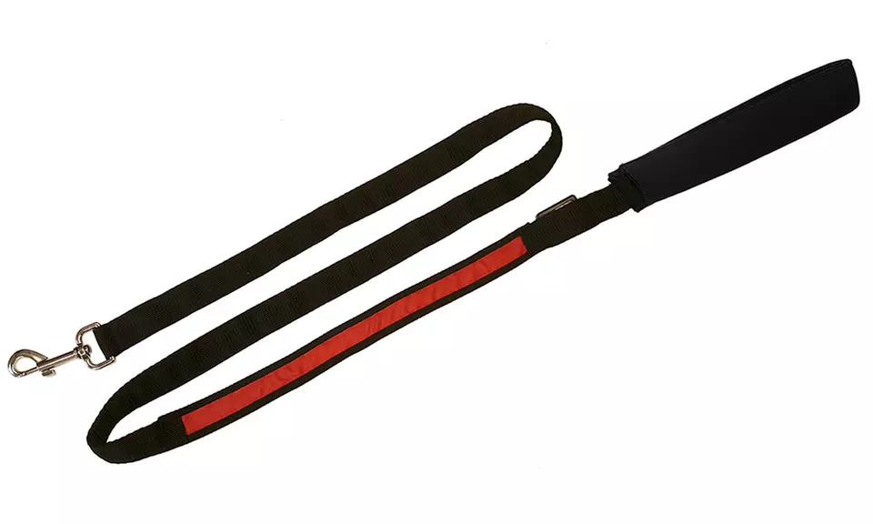 Coleman LED Light-Up Dog Leash - Second Medium