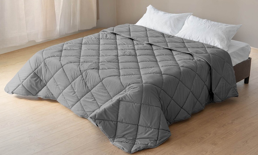 Image 13: Fluwelen sprei