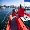 Image 4: 45 Minute Glass Bottom Boat Tour at Redondo Beach with Marine Animals!