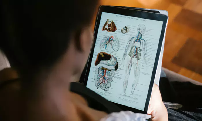 Explore 12-Week Online Live STEM Courses for Kids with 55 Options