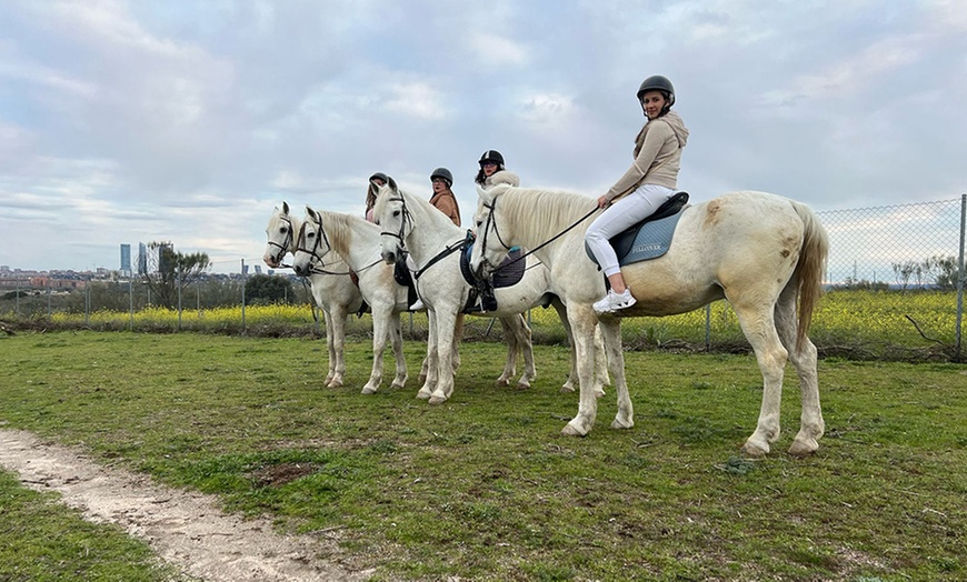 Image 4: 5 o 10 clases de equitación de 50 minutos para todos los niveles