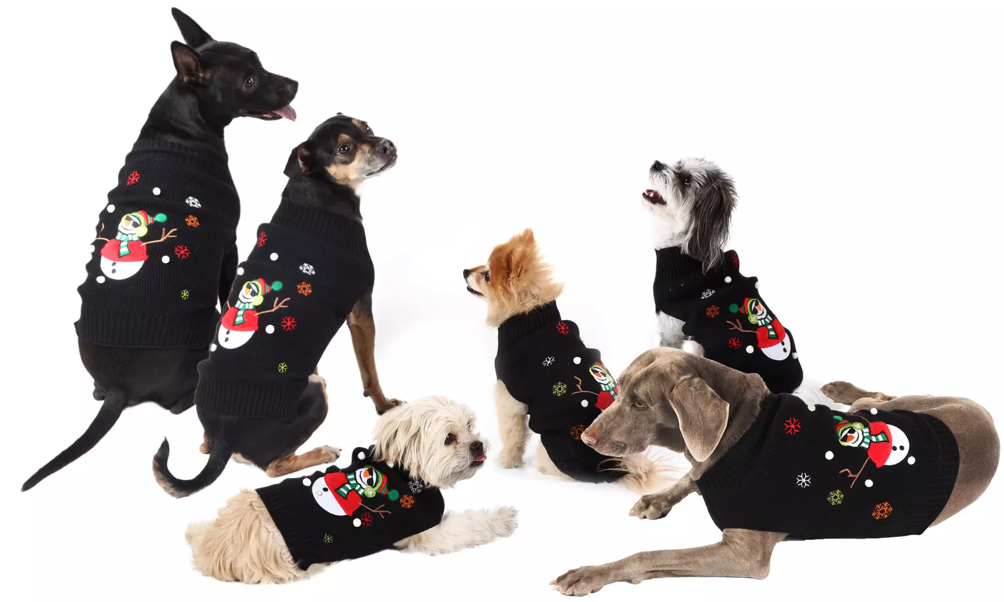 New York Dog Ugly Holiday Sweater - Primary Image