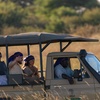 Image 27: Zimbabwe: 7-Night Yoga & Safari Retreat
