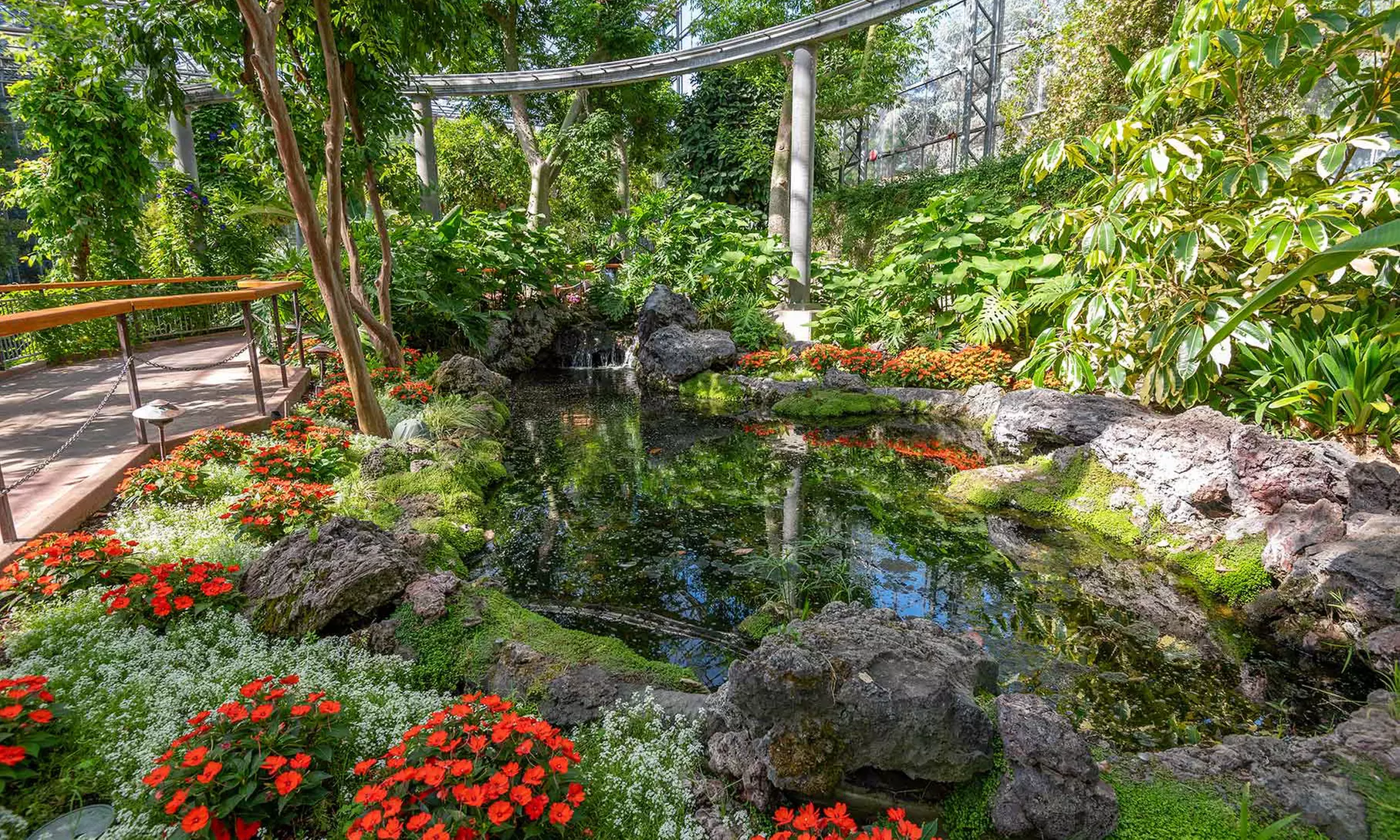 Gilroy Gardens: Over 40 Rides, Attractions & Famous Circus Trees