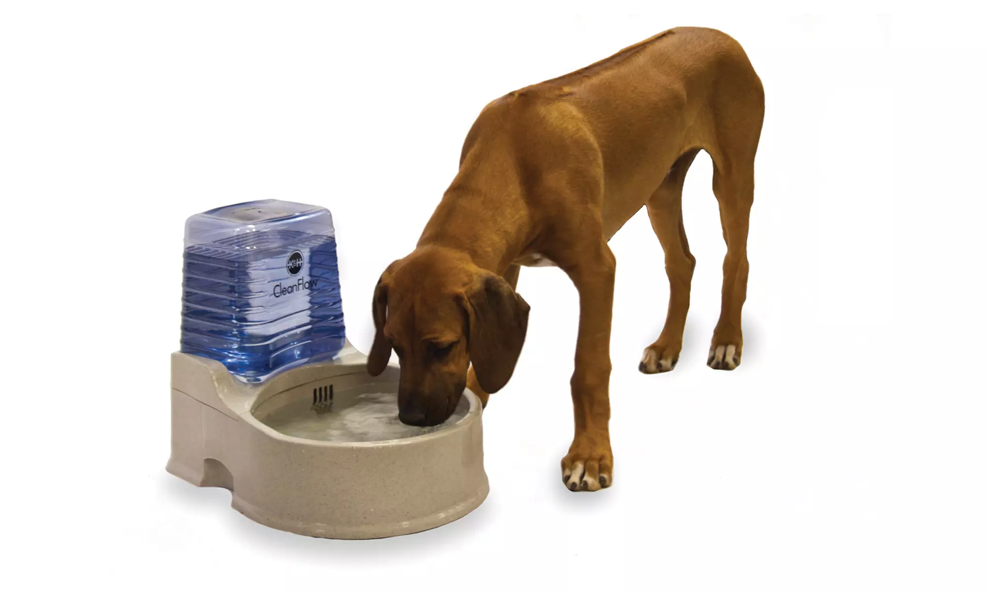 K&H CleanFlow Filtered Water Bowl - Second Medium