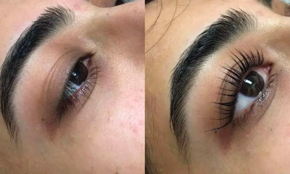 Choice of Lash & Brow Treatment at The Beauty Refinery