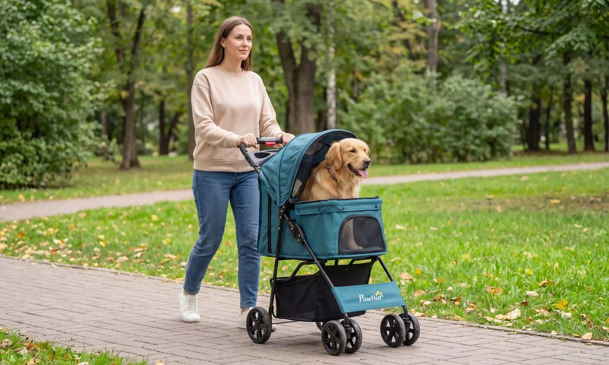 PawHut Foldable Pet Stroller with Canopy