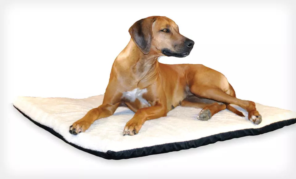 K&H Ortho Thermo Bed for Pets in Medium, Large, or XL (Up to 55% Off). Free Shipping. - Primary Image