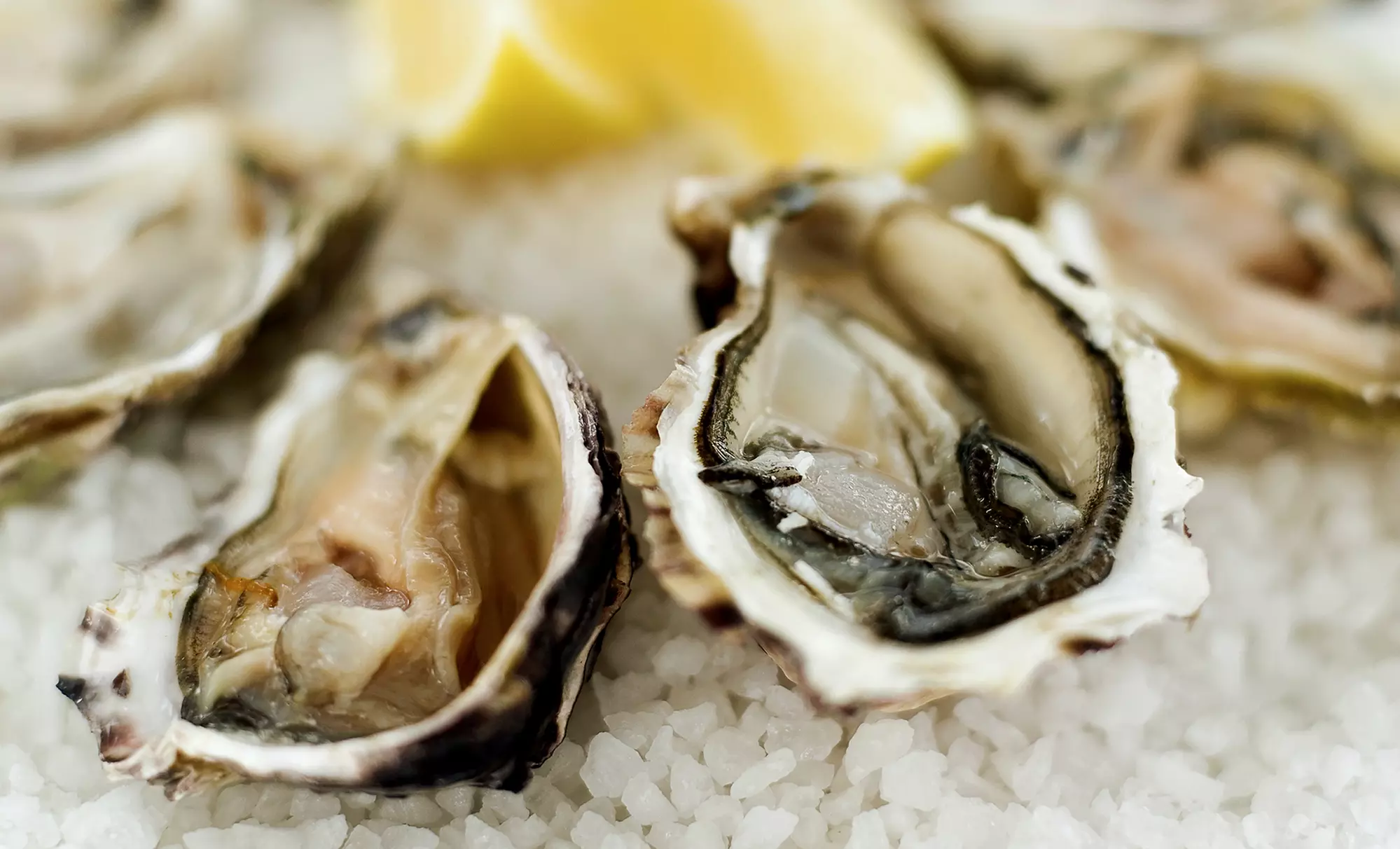 $59 for a Prix Fixe Dinner for Two at Scott's Seafood ($100 Value). Groupon Reservation Required. - Primary Image