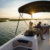 Image 1: 1-Hour Dolphin Watching or Shell Collecting Tour (Up to 6)
