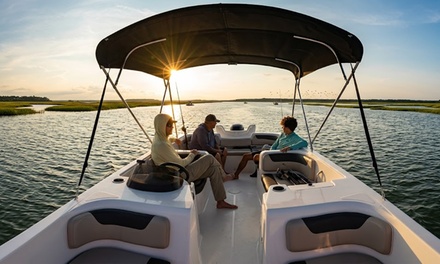 1 hour Eco Experience - Guided Shell Collecting Tour for Up to 6 - Infinity Charters HHI