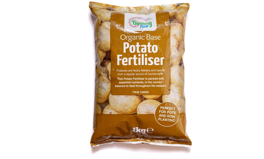 Image 2: YouGarden Three Packs of Potato Growing Selection 