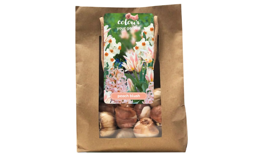 Image 3: Lot de 25 bulbes de fleurs roses ou pêches Perfect Plant Deal B.V.