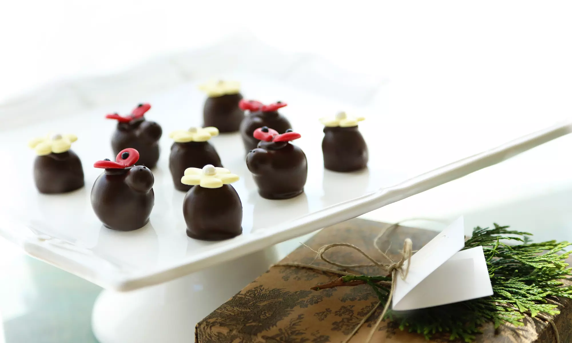 Uncover The Cordial Cherry's Online Selection of Gourmet Truffles & Cordial Cherries with up to 39% Off - Primary Image