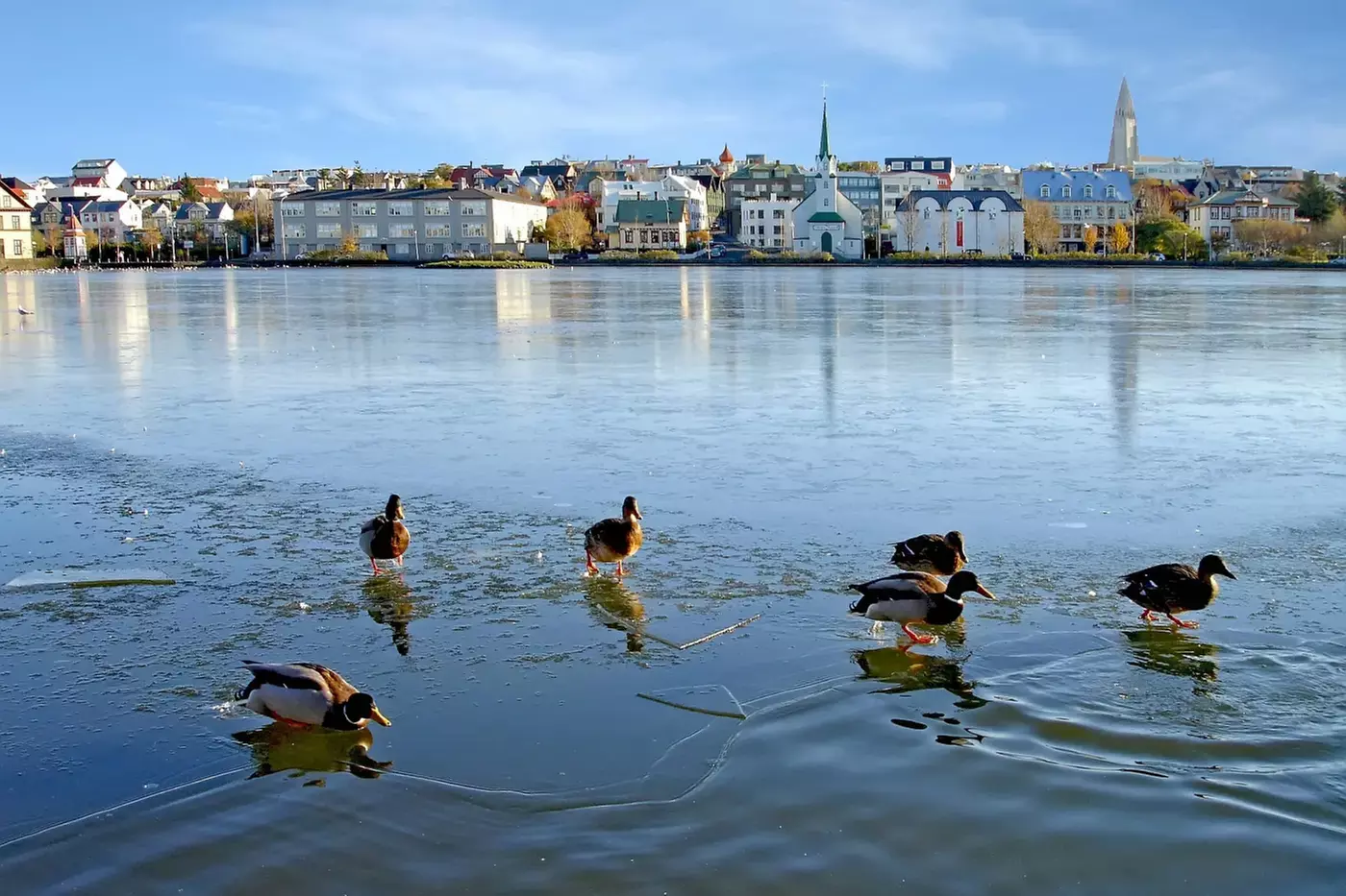 ✈ 5-Day Iceland Vacay + Blue Lagoon w/ Air from Great Value Vacations