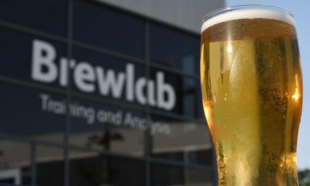 Brewery Tour: Beer Tasting and Cheese Pairing Experience for One Person - Brewlab