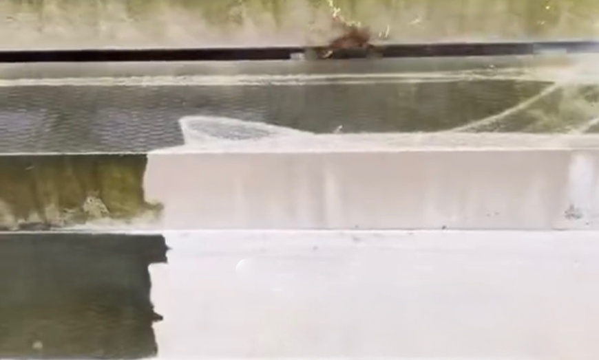 Image 3: Pressure Washing, Window Cleaning, Exterior Driveway, Roof Wash & More