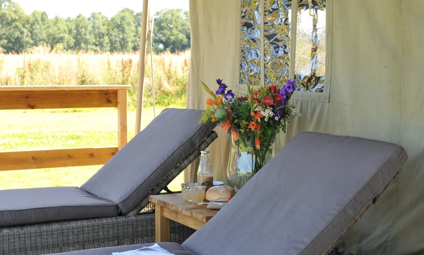 Image 14: Twente: Sterrenkubus of Safari Lodge-tent XL met ontbijt