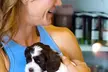 Discover Happiness with 1, 5 or 10 60-Minute Puppy Yoga Classes at Pawsitive Vibes Yoga (Up to 50% Off) - Second Medium