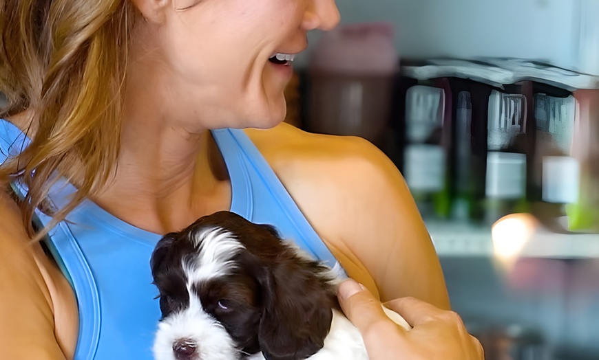 Image 2: Relax and Play with 1, 5 or 10 60-Minute Puppy Yoga Classes