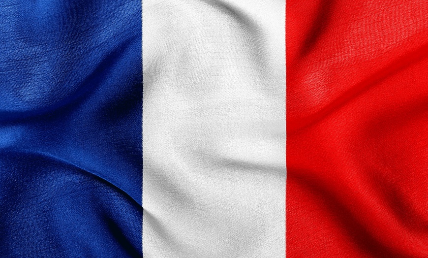 Image 1: Master French with Levels 1, 2 & 3 Certification!