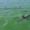 Image 4: 1.5-Hour Tiki Island BYOB Boat Cruise for One Adult or Child