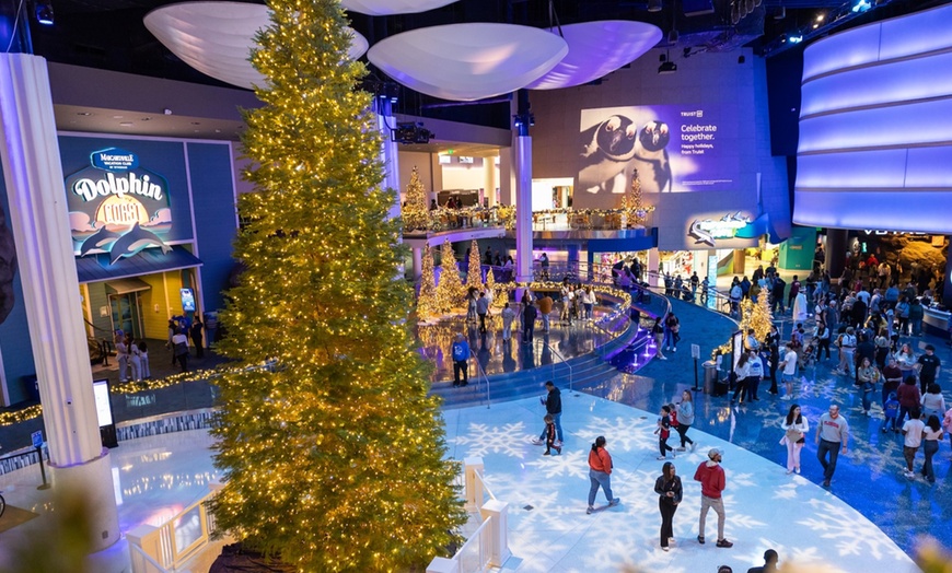 Image 5: One General-Admission Ticket at Georgia Aquarium