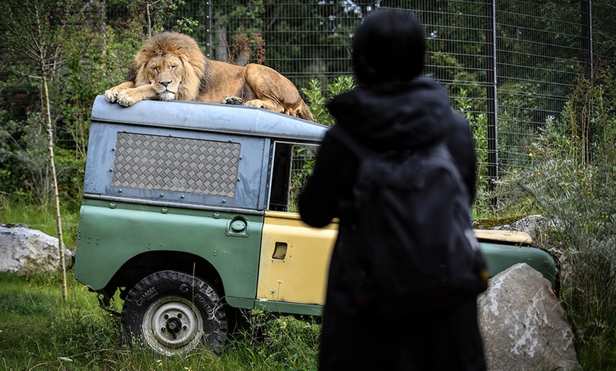 Image 1: Einzigartig wild: Tageskarten für den Zoo Duisburg