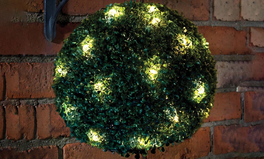 Image 1: Solar Topiary Ball