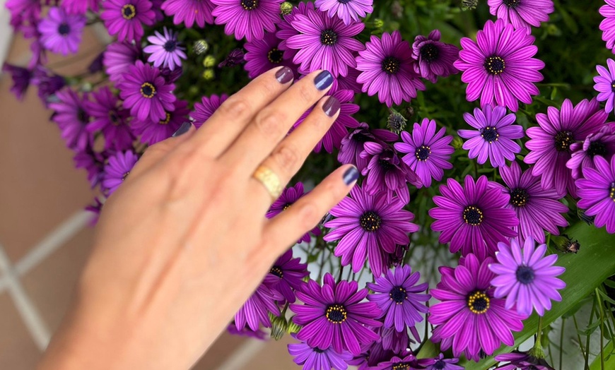 Image 16: Manicura, pedicura o uñas gel con esmaltado clásico o semipermanente 
