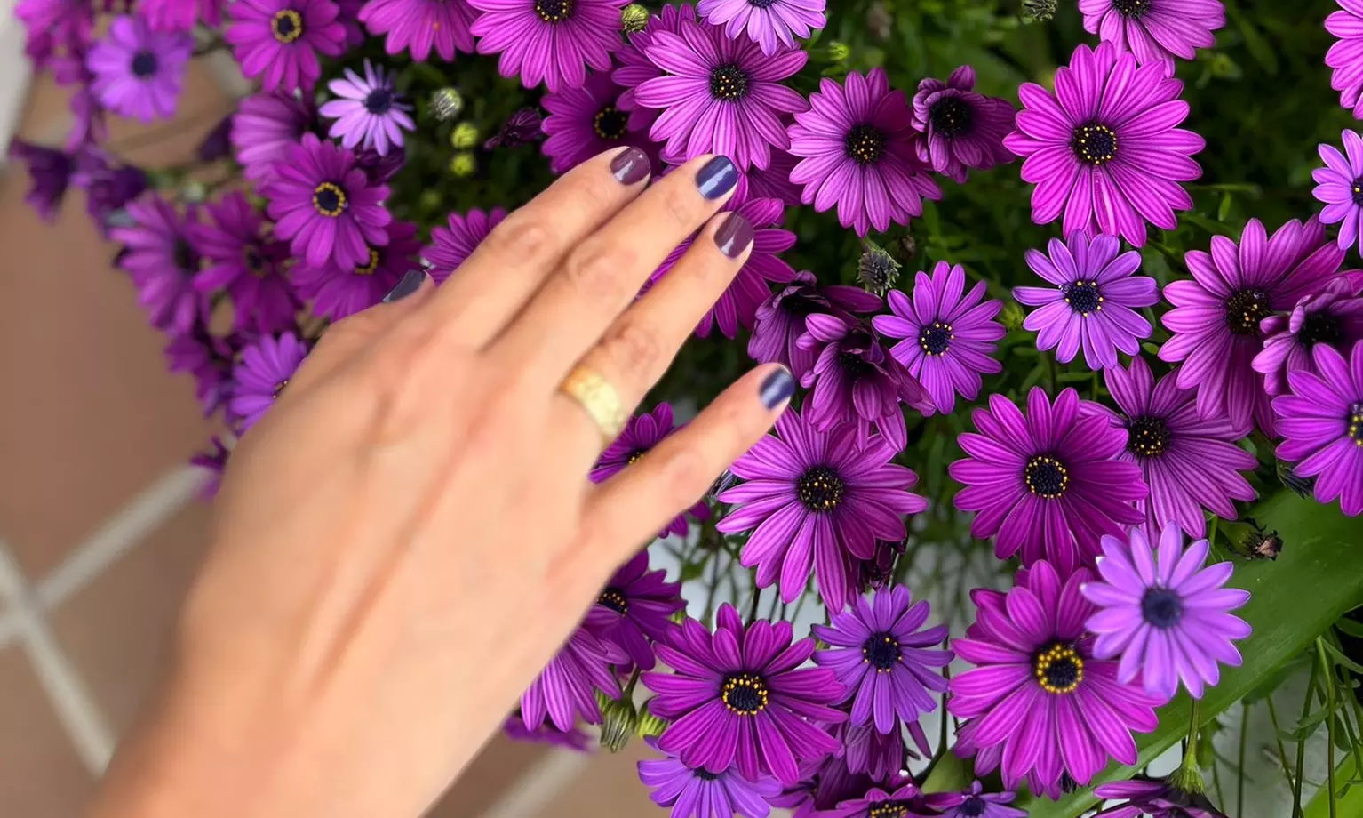 Manicura, pedicura o uñas gel con esmaltado clásico o semipermanente