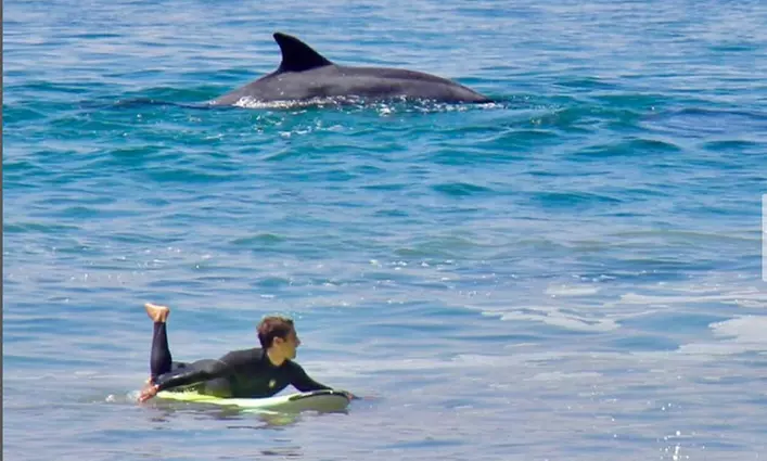 Join & Explore 1 or 3 90-Min Surf Private Lesson For Up to 4 People 