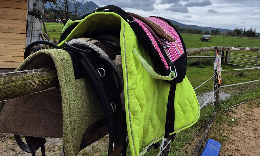 Image 6: Bis zu 10 Einheiten: Achtsame Pferdezeit für Groß und Klein