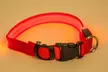 LED Dog Collars With Three Light Settings In Choice of Colour for £1.99 - Image 4