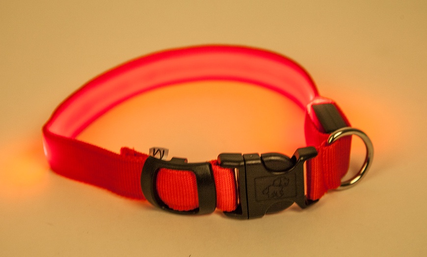 Image 4: LED Dog Collars