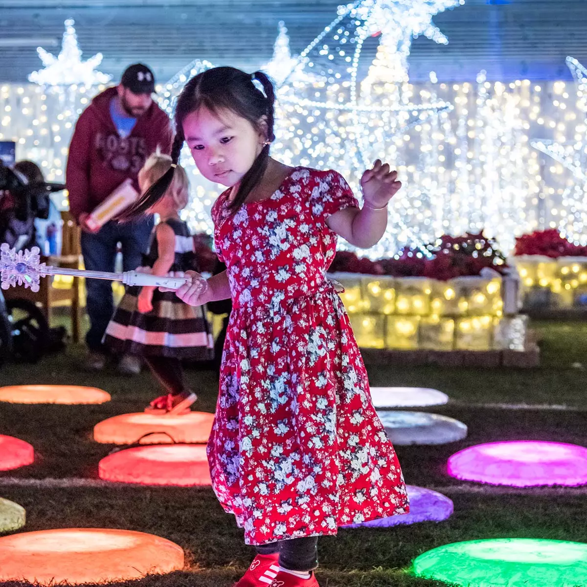 Have Fun & Celebrate at Christmas Lights Festival at Roto-Rooter Park
