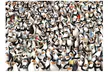 The Penguins of Madagascar 1000-Piece Impossible Puzzle for £4.99 - Image 2