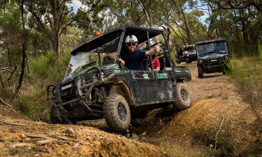 Image 1: Two-Hour Buggy Tour
