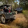 Image 1: Two-Hour Buggy Tour